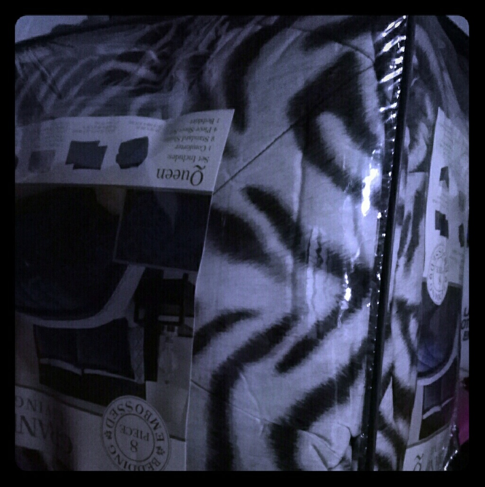 Zebra print Queen comforter